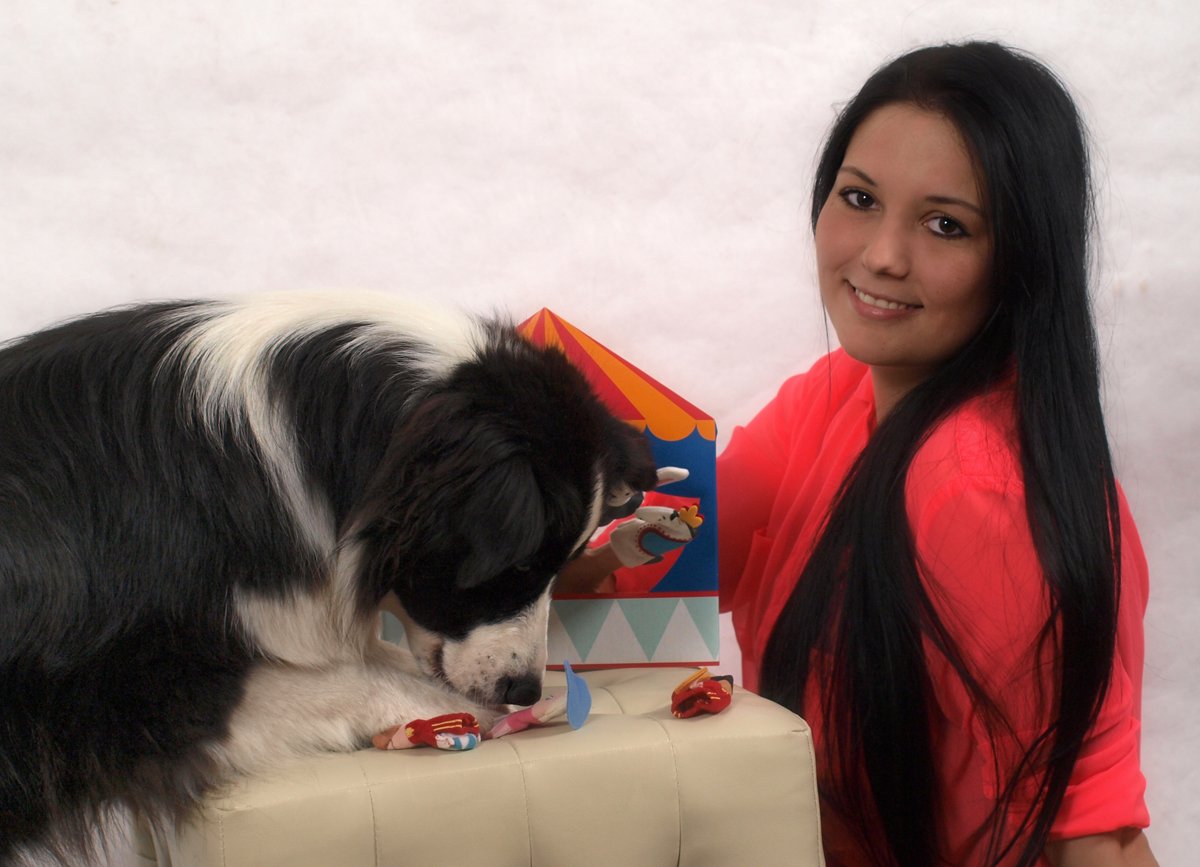 Therapiebegleithund Emmely, Australian Shepherd 