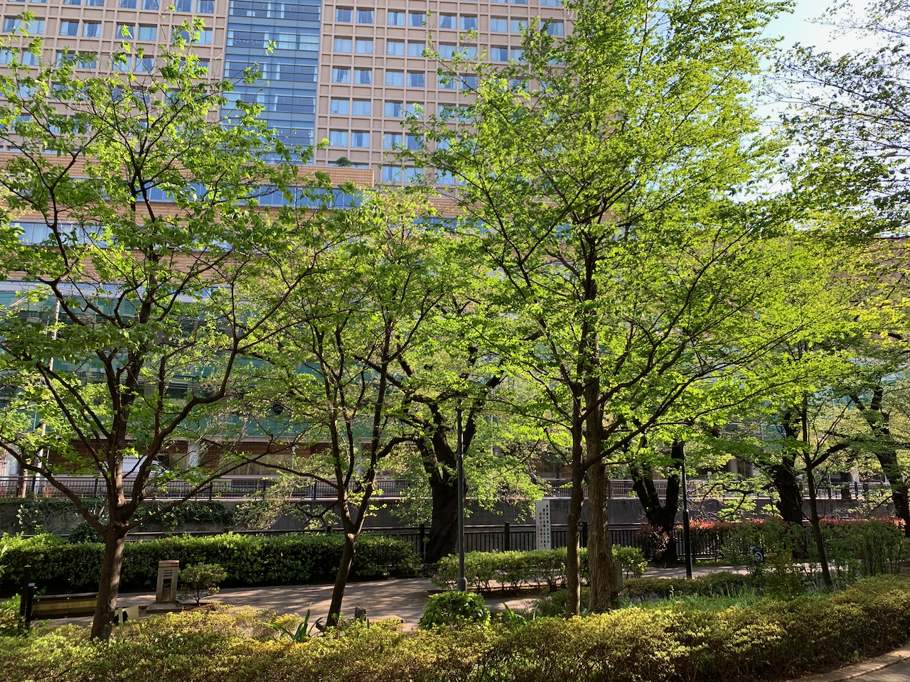 Teikyo Simulation Education and Research Center