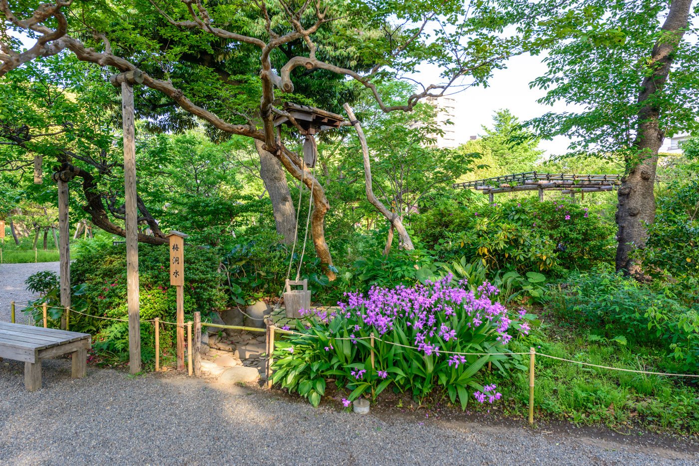 都立向島百花園７