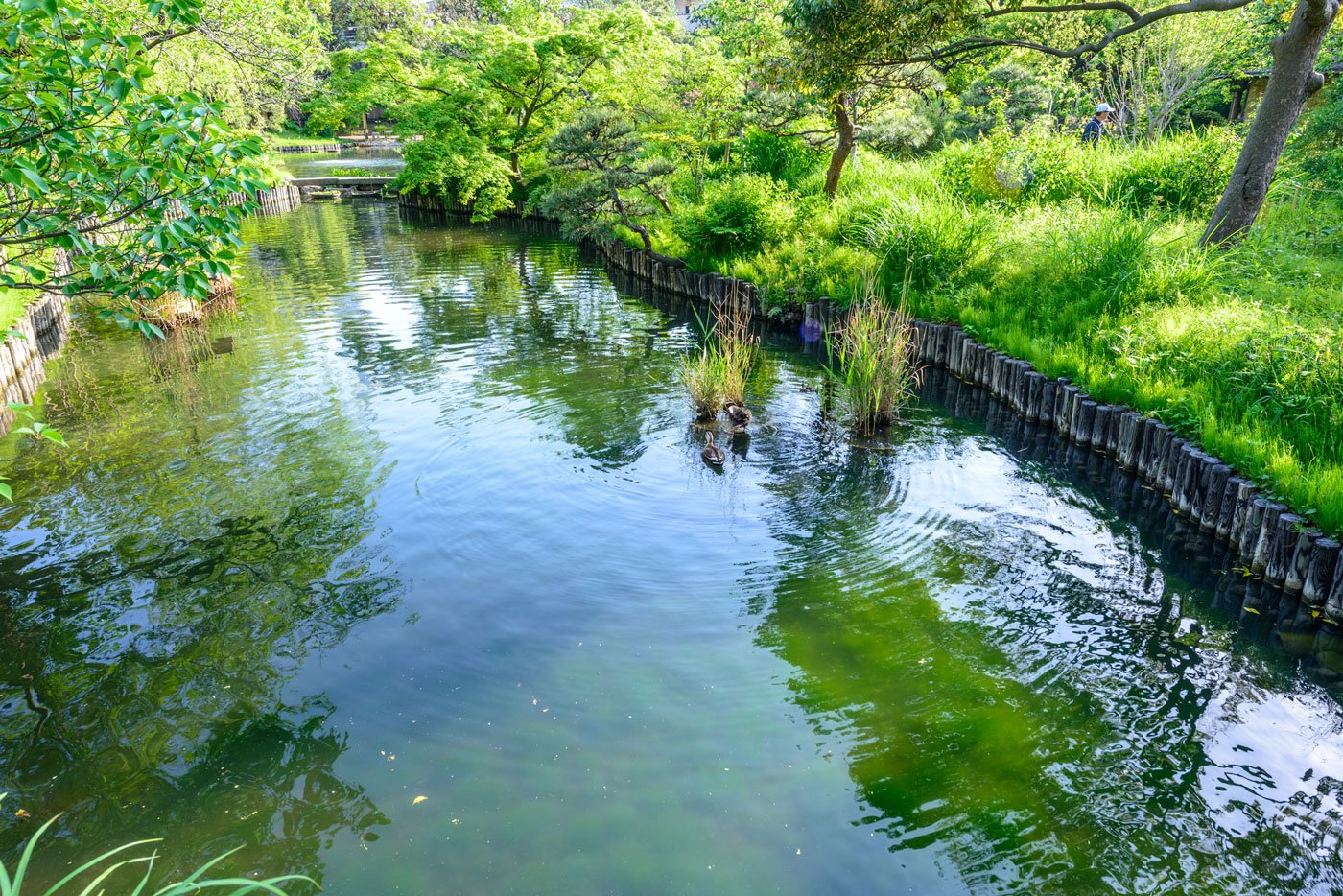 都立向島百花園２（もうすぐ花しょうぶやあやめが色とりどりに咲き誇ります）