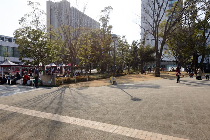 中野四季の森公園３（大学群）