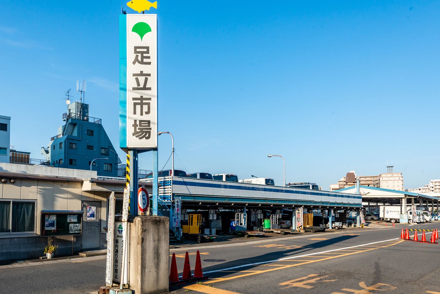 足立市場（600m）