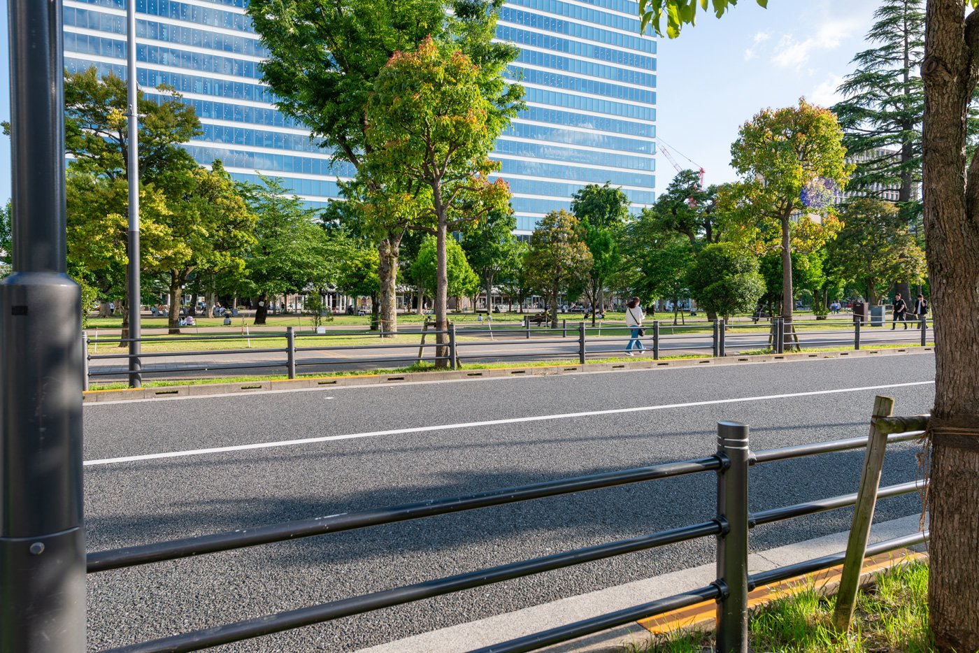 中野セントラルパーク（四季の森公園）　800m
