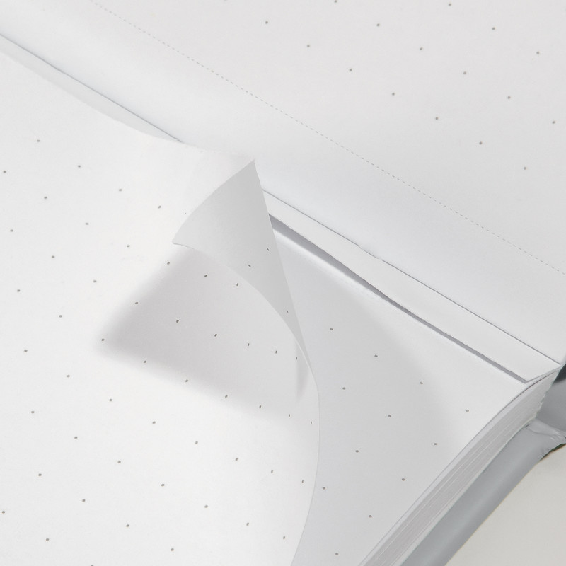 Punktraster - das neue Innenleben