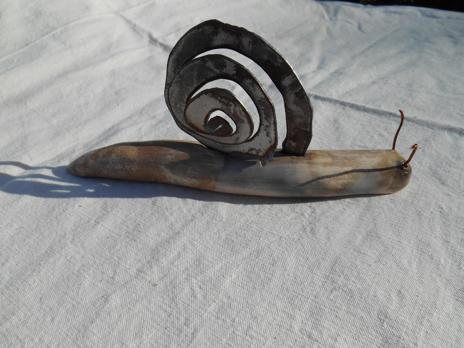 escargot et coquille acier 