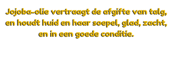 Jojoba-olie vertraagt de afgifte van talg, en houdt huid en haar soepel, glad, zacht, en in een goede conditie.