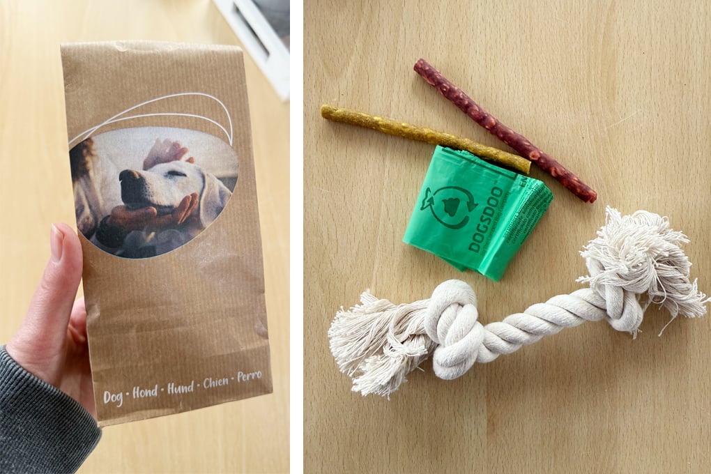 Kleine Aufmerksamkeit des Resorts mit Bio-Kotbeuteln, Kaustangen und Spielseil