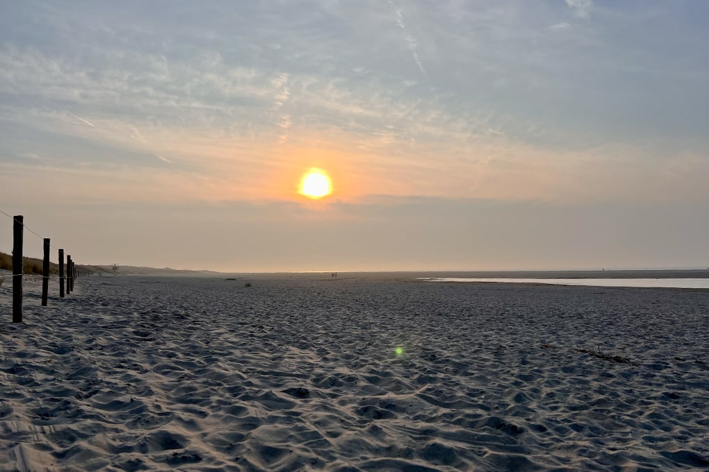 Der weitläufige Strand von Ouddorp. Für Hunde wirklich ein Paradies!