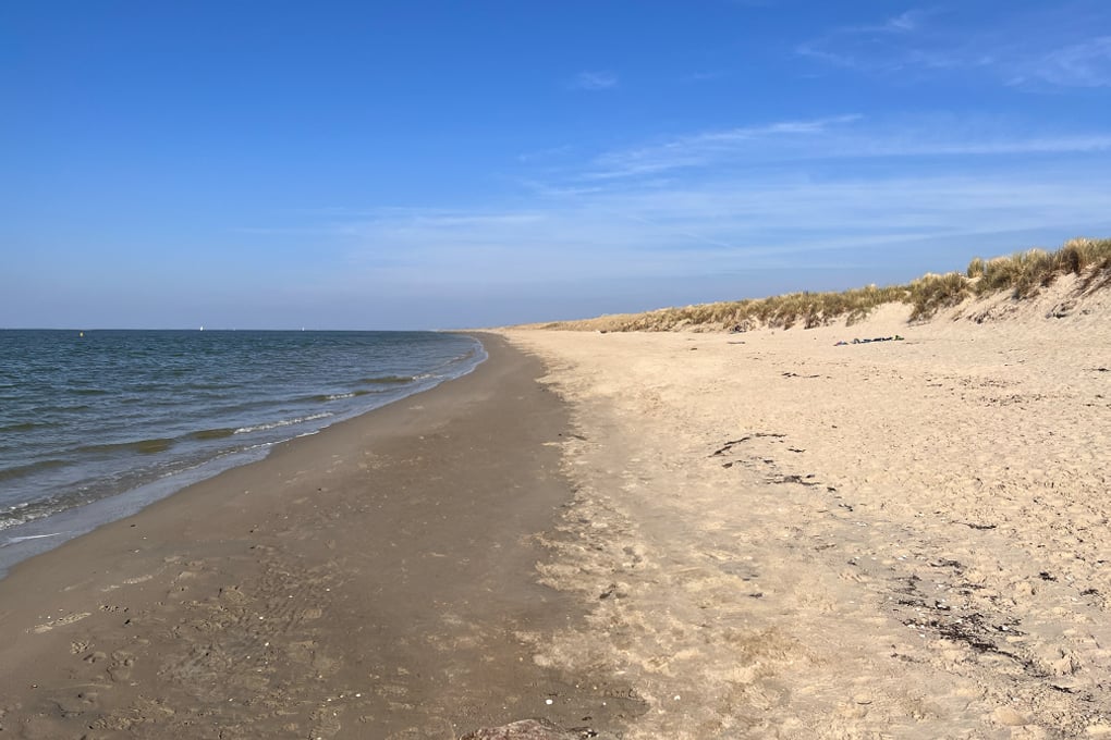 Strand Oosterschelde, Hundestrand
