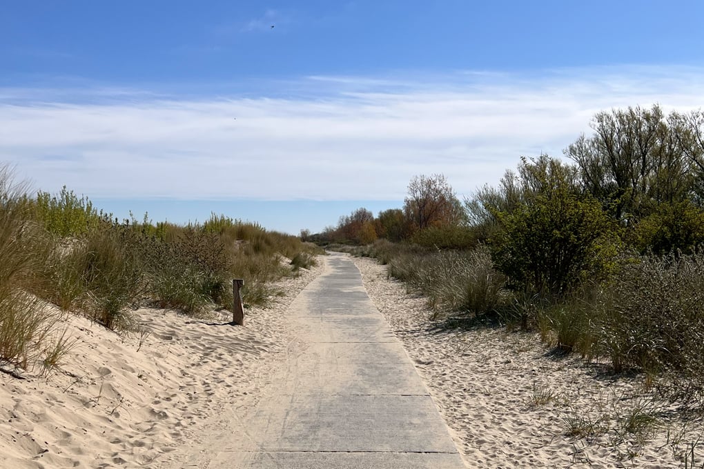 Weg durch Dünen der Oosterschelde