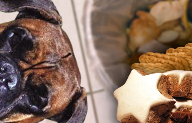 Olli hat Müll zum Fressen gerne