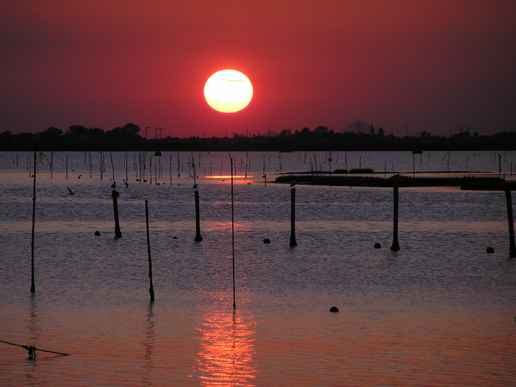 Villa Fashion - Ferienhaus Albarella mit Pool und Villa Costanza - Ferienhaus Albarella - Sonnenuntergang 2
