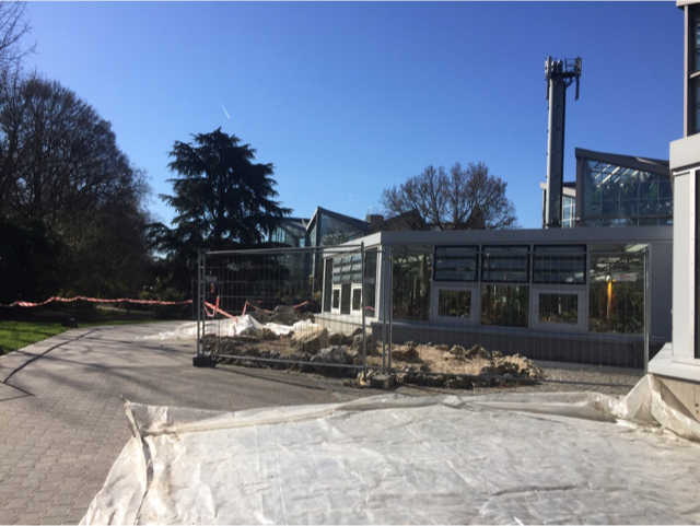 Sanierung Tropicarium Palmengarten