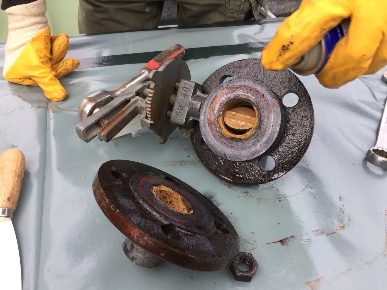 Sanierung Tropicarium Palmengarten