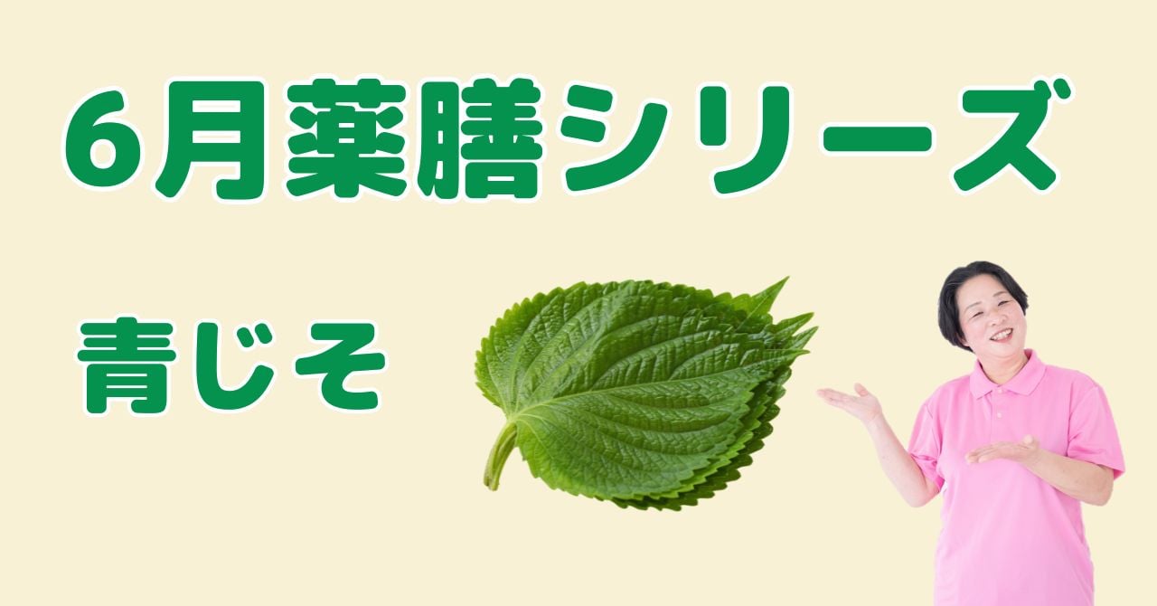 【6月の薬膳】しそ（大葉）｜気の巡りを整え胃腸スッキリ！薬膳の知恵と簡単レシピ
