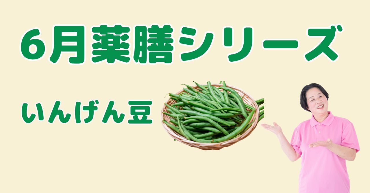 【6月の薬膳】インゲン豆｜気を補い疲れやだるさを改善する薬膳