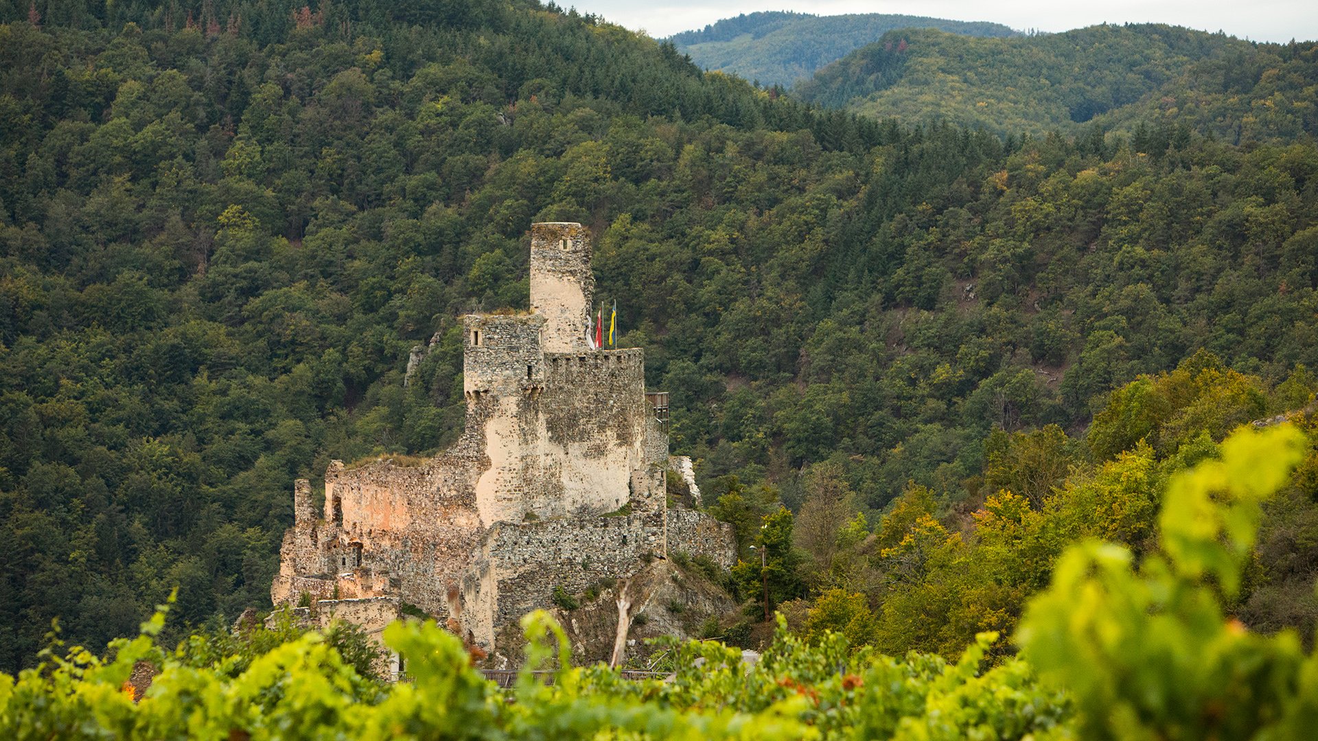 Foto: Verein zur Erhaltung der Burgruine Senftberg