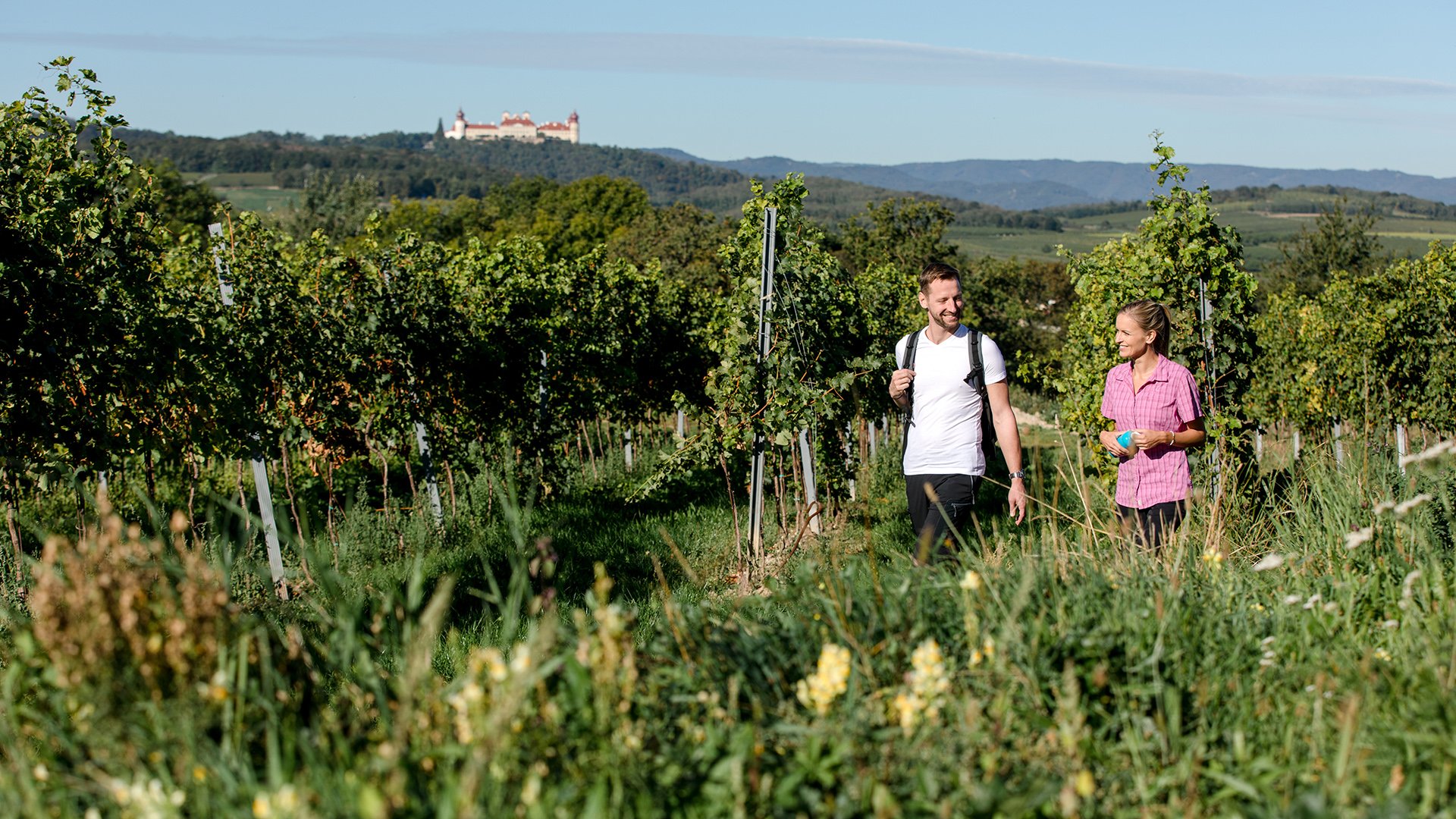 Der neue Weitwanderweg Kremstal-Donau...
