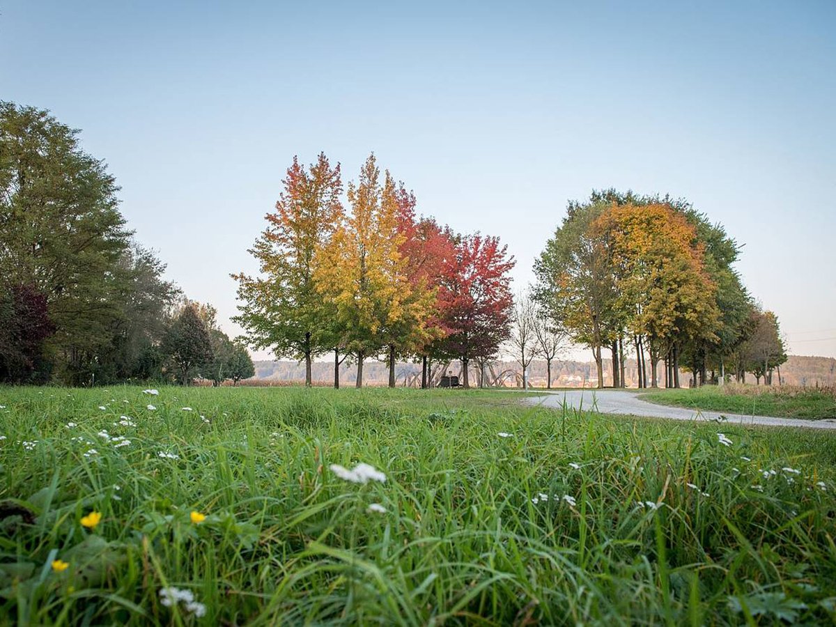 ... praktisch vor der Haustür