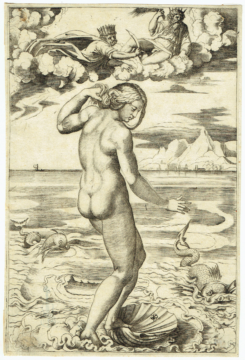 Marco Dente - Die Geburt der Venus