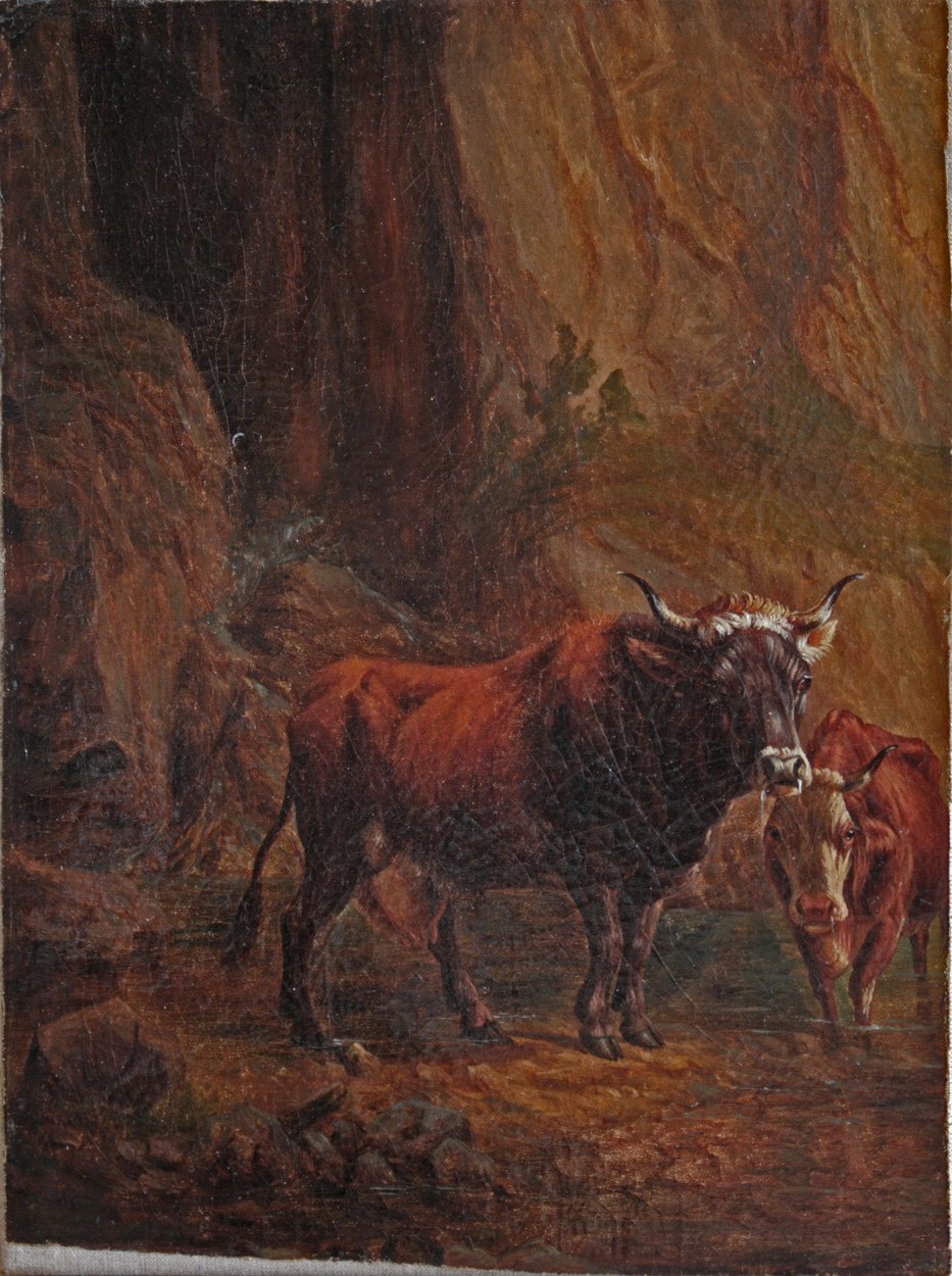 Rinder vor einer Felsschlucht