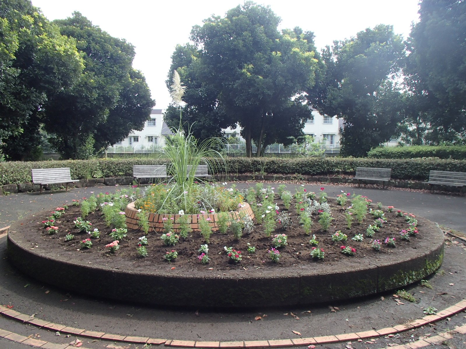 完成☆かわいらしい秋花壇になりました♪