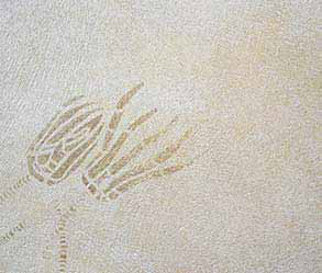 Wandlasur mit Schablone