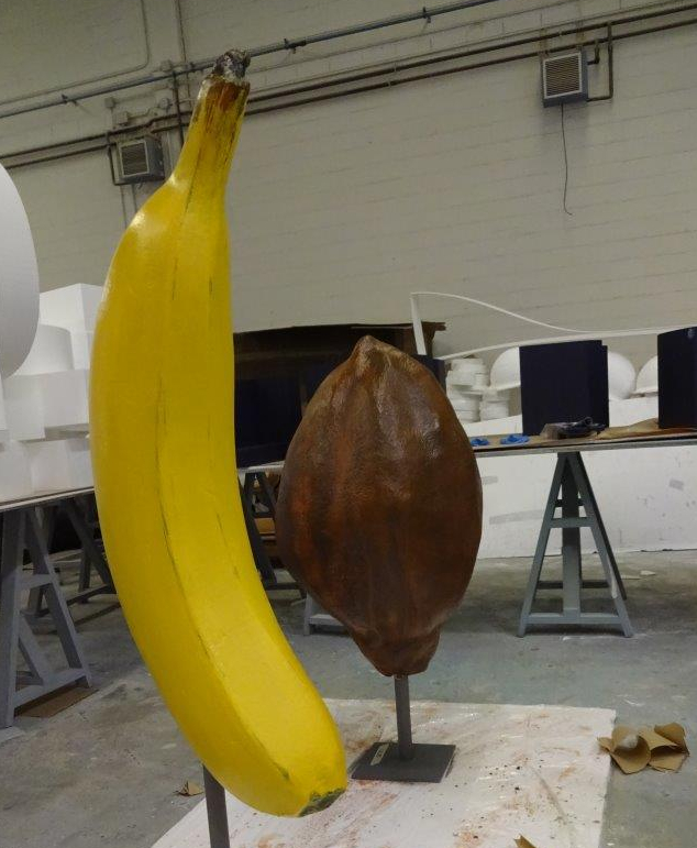 Platano gigante, Cacao Gigante