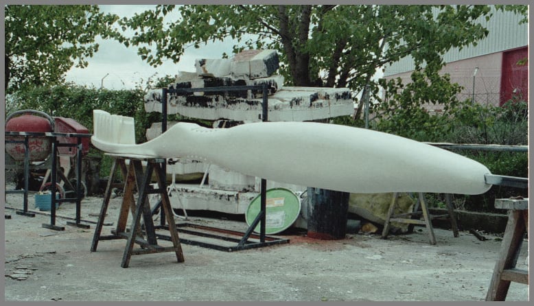 cepillo de dientes gigante (Oral B)