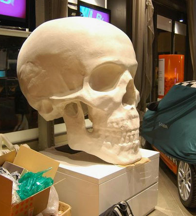 Craneo Gigante, Exposición temporal