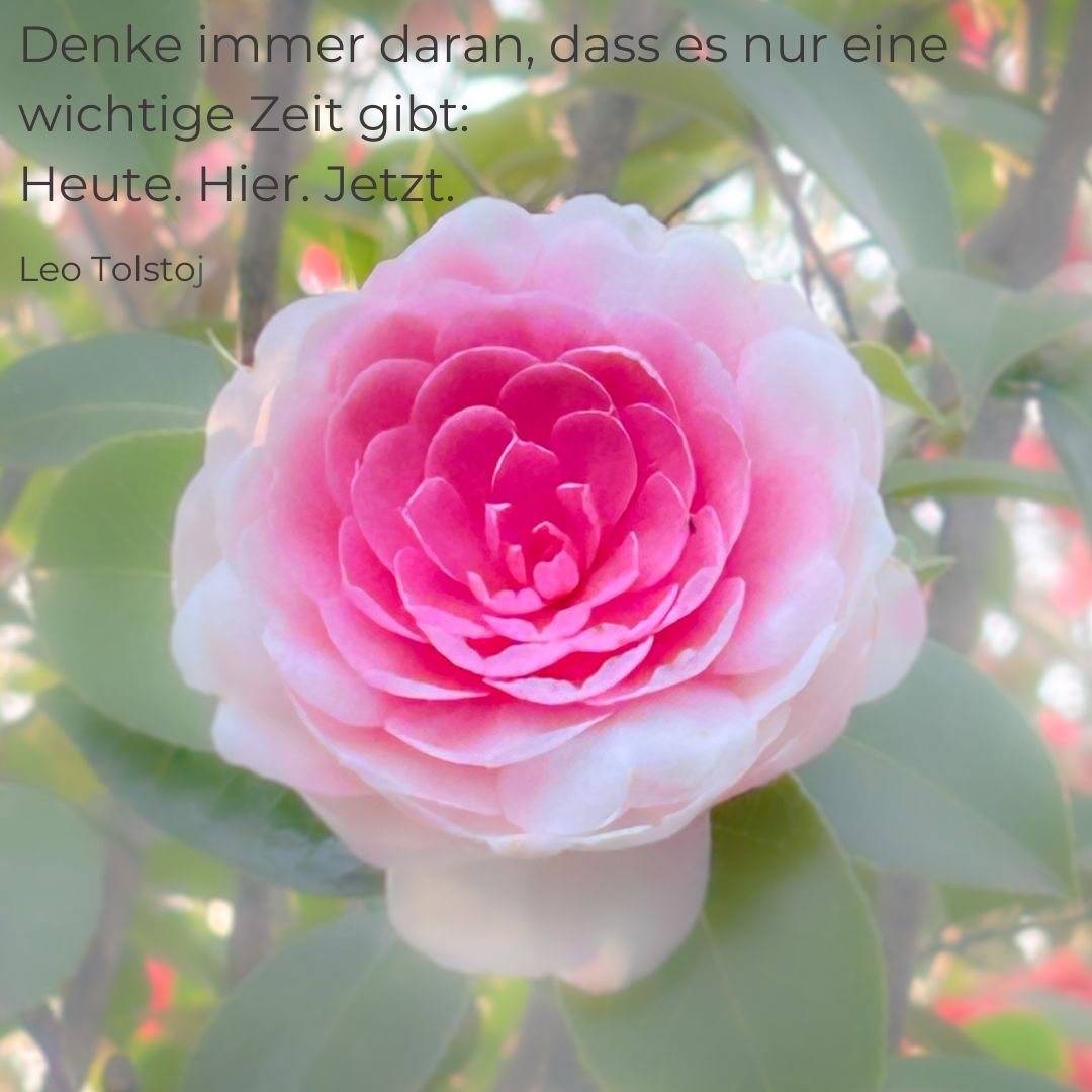 Mit Achtsamkeit gegen Stress