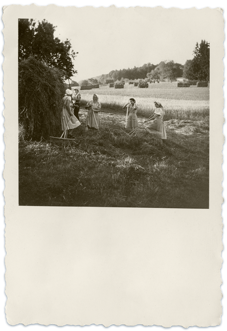 Alte Fotos wie neu, Alte Fotos digitalisieren, Reprofotografie, Repro, Fotos scannen, alte Fotos retten