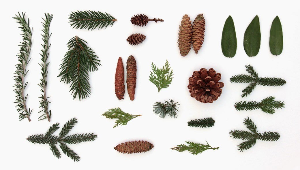 fridolina fridolina.si forest wald nature materials hygge tanne zapfen geschenkeverpacken gift wrapping xmas christmas x-mas gift wrapping box naturmaterial 