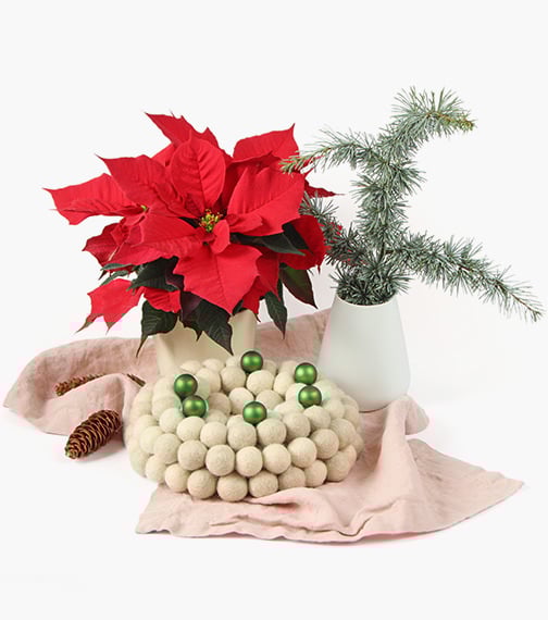 stern zvezda weihnachtsstern advent adventskranz gift wrapping felt balls kroglice iz filca filzkugeln garndundmehr kvačkanje crochet geschenkeverpacken weihnachten zavijanje daril xmas x-mas christmas inspiration inspiracije