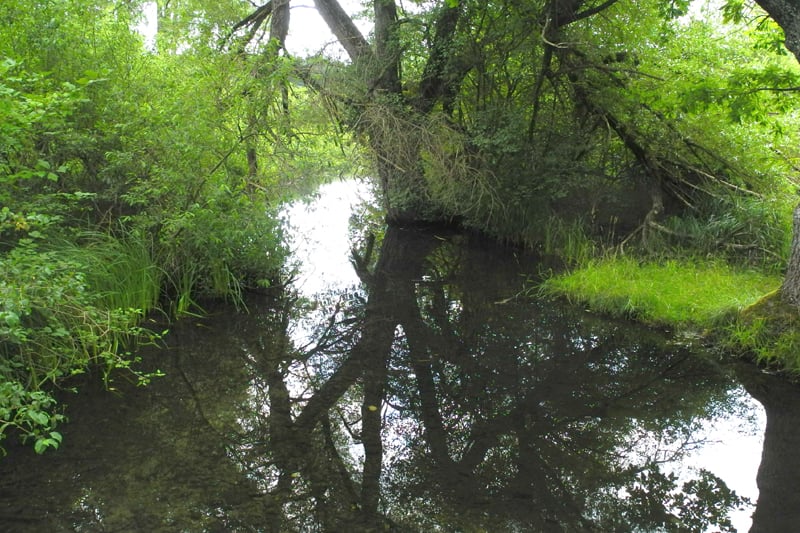Oberer Inninger Bach am Emtersteg. Flugzone freigeschnitten. - Foto: Horst Guckelsberger 