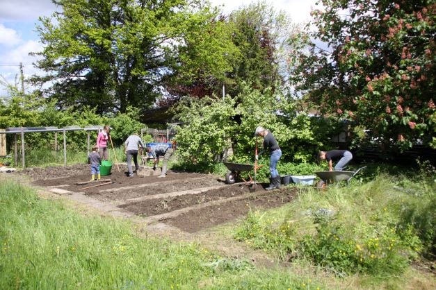 Bevor gepflanzt wird, muss alles Unkraut heraus © Edith Kirchberger