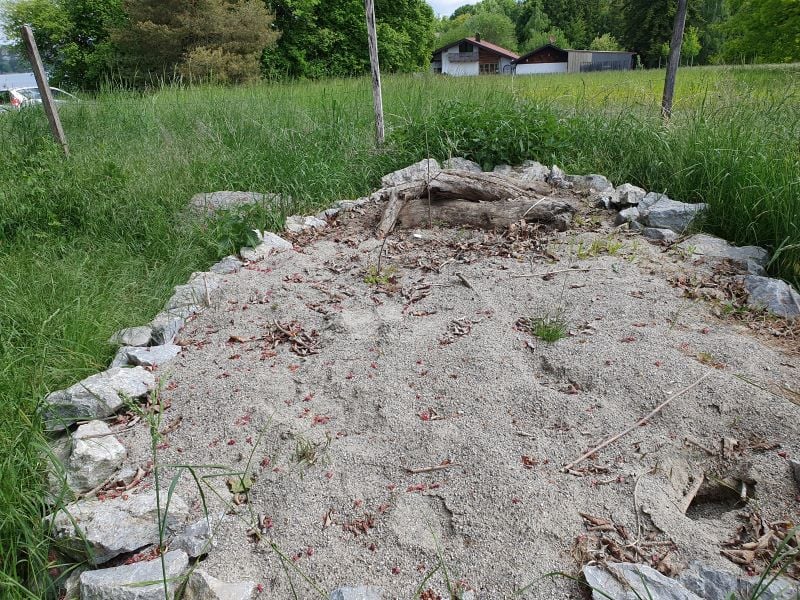 Sandarium_Claudius Birke