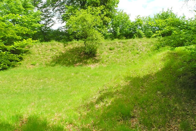 Diemendorfer Höhenberg 2025 (Foto: Horst Guckelsberger)