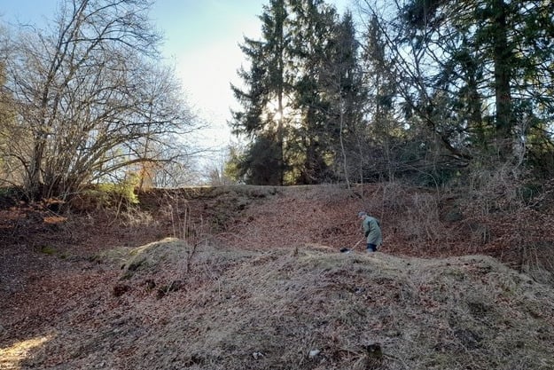 Diemendorfer Höhenberg 2024 (Foto: Günther Paschek)