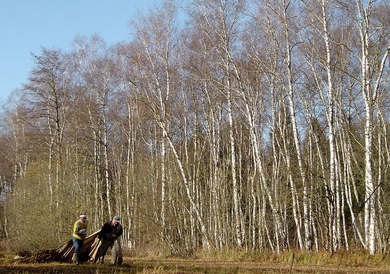 Erstpflege 2008 (Foto: Horst Guckelsberger)