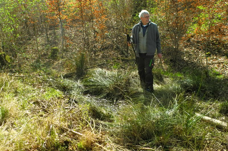 Teil der nassen Stelle - Foto: Horst Guckelsberger