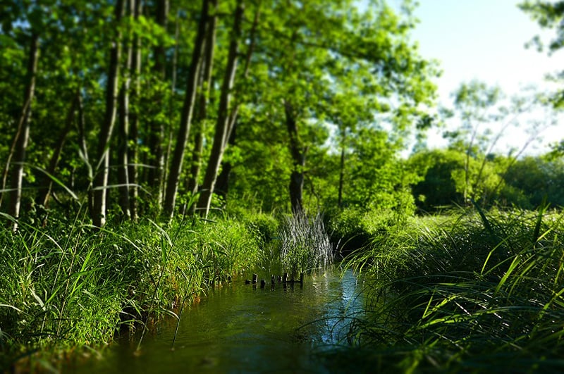 Oberer Inninger Bach unterhalb des Emtersteges - Foto: Christian Niederbichler