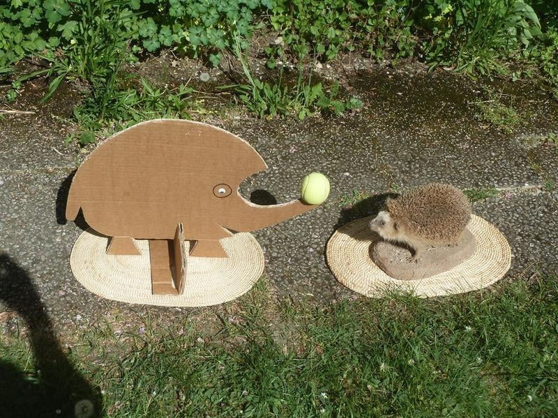 Igelfrau Lea, "nackt"