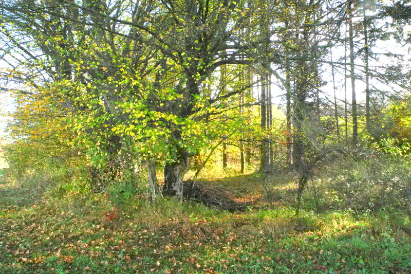 Im Inneren - Foto: Horst Guckelsberger