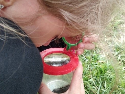 Walddetektive: Auf Spurensuche mit der Becherlupe © Katharina Platzdasch