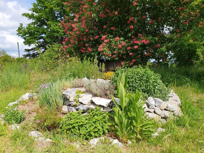 Kräuterspirale_Claudius Birke