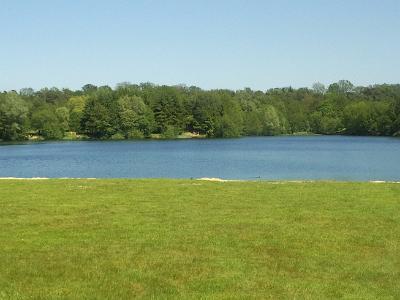 Liegewiese mit Blick auf den See