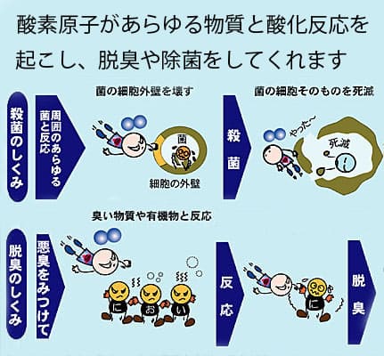 出典：オゾンのリガルジョイント