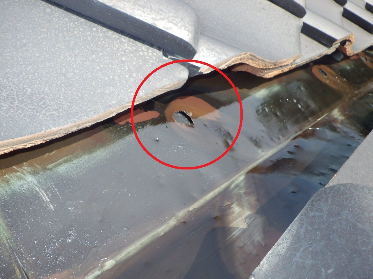 屋根銅板部分の専用皮膜塗布工事　in宇都宮市