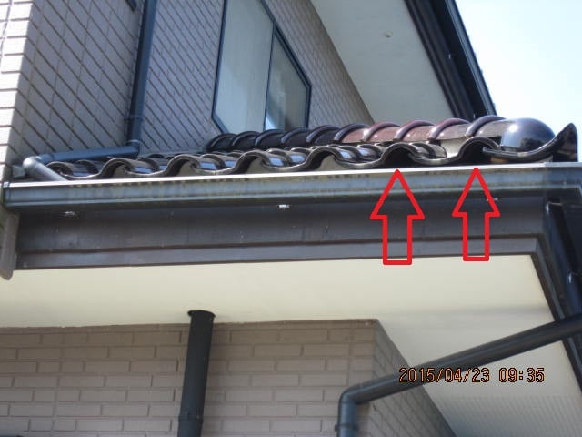 軒面戸の欠落箇所から鳥の出入り in那須塩原市